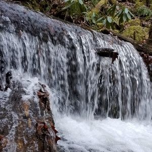 Meet your Posher, Wanda